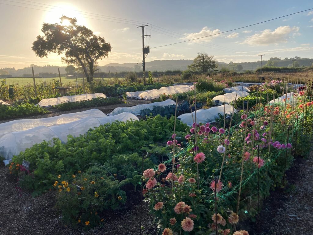 Martock Workspace Kitchen Garden